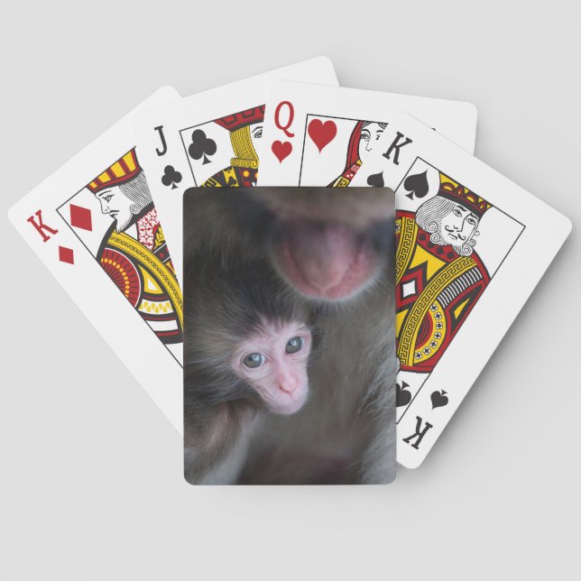 Baralho Bebês Mais Pobres | Macaco Baby Macaque e Mãe (Verso)