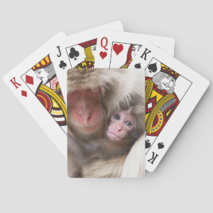 Baralho Bebês Mais Pobres Macaco-neve