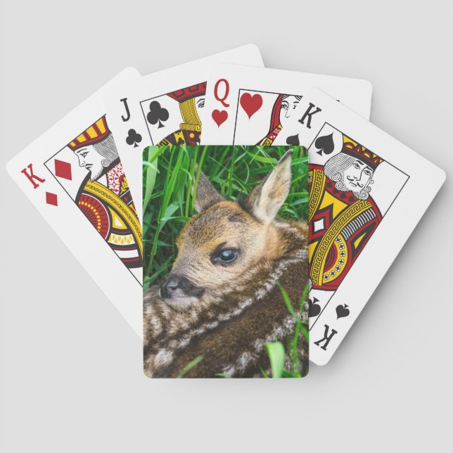 Baralho Bebês Mais Pobres | Roe Deer Baby (Verso)