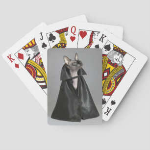 Baralho Bebês Mais Pobres Sphynx Hairless Cat