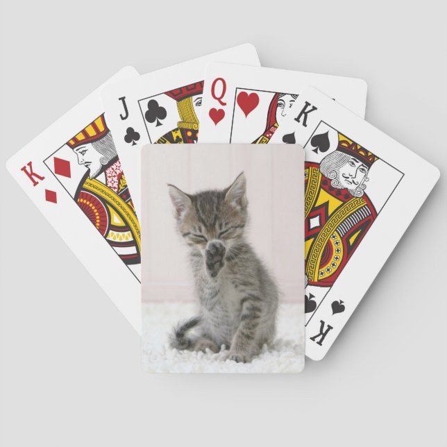 Baralho Bebês Mais Pobres | Tabby Kitten De Licença (Verso)