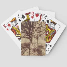 Baralho Beech Tree (por Eugène Atget)