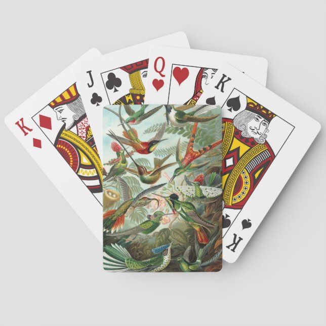 Baralho Beija-flores por Ernst Haeckel, Árvores de Pássaro (Verso)