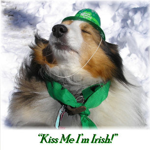 Baralho Beije-me, sou irlandês! Tocando Cartões