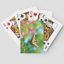 Bela borboleta Swallowtail em flores bonito