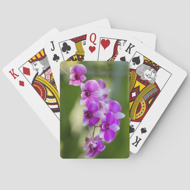 Baralho Bela Orquídea Roxa (Verso)