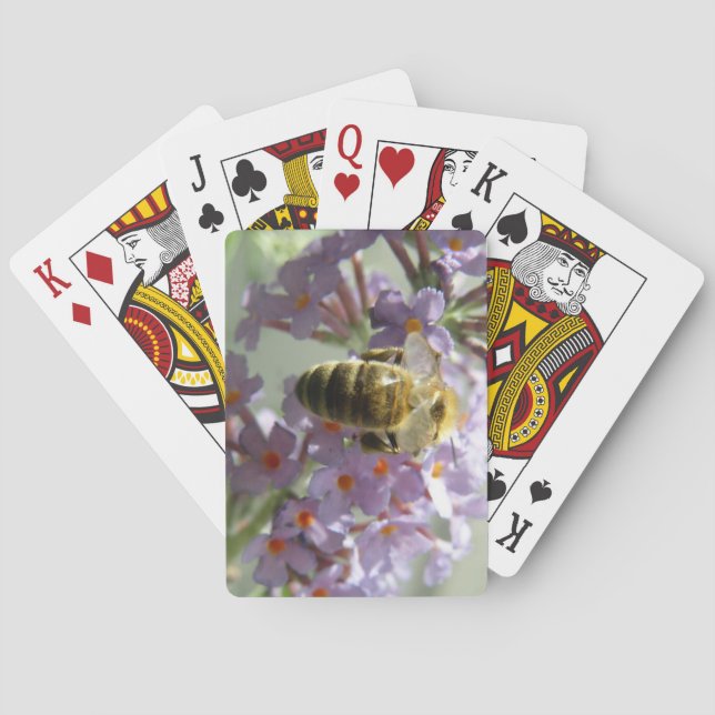 Baralho Belas de mel e flores de budleia (Verso)