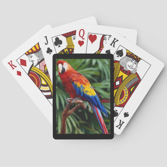 Baralho Belo Deck Macaw de Cartões (Verso)