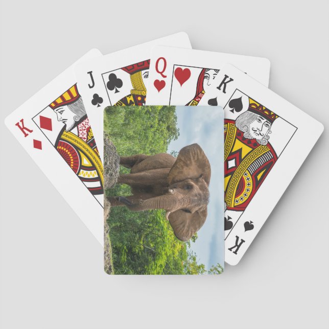 Baralho Belo Elefante Tocando na Grama (Verso)