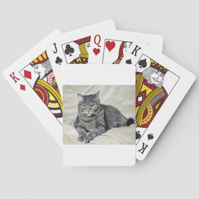 Baralho Belo Gato Deitado (Verso)