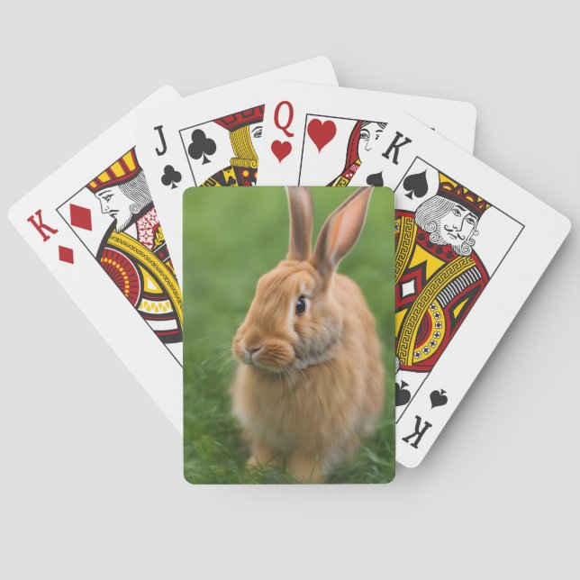 Baralho Belo Rabbit (Verso)