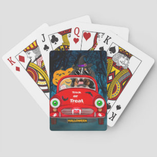 Baralho Bernese Mountain Dog Dirigindo Carro Assusta Hallo