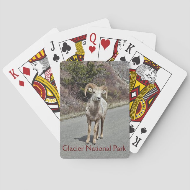 Baralho Bighorn Sheep Photo (Verso)