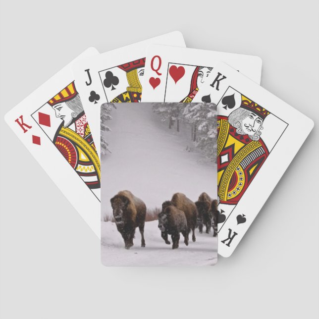 Baralho Bisonte no inverno (Verso)