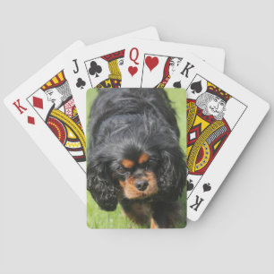 Baralho Black and Tan Cavalier King Charles Spaniel Dog