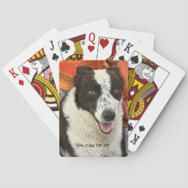 Baralho Black and White Border Collie Playing Cards