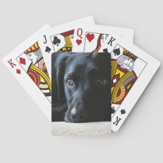 Baralho Black Labrador