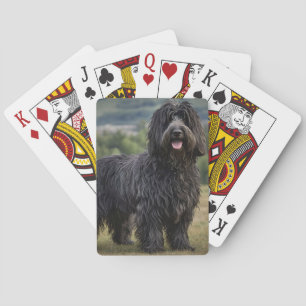 Baralho Black Wooly Bergamasco Sheepdog,