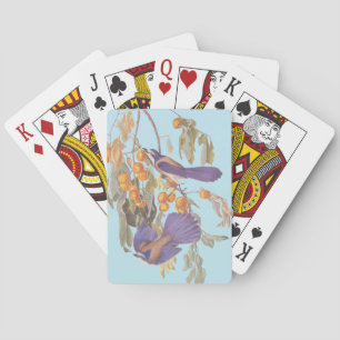 Baralho Blue Florida Scrub Jay Audubon Birds com Laranjas