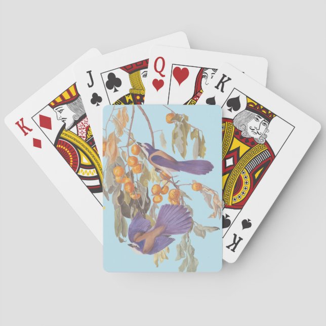 Baralho Blue Florida Scrub Jay Audubon Birds com Laranjas (Verso)