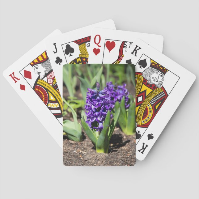 Baralho Blue Geocinth em primavera (Verso)