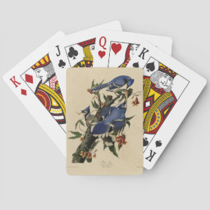 Baralho Blue Jay - Pássaros da América de John James Audub
