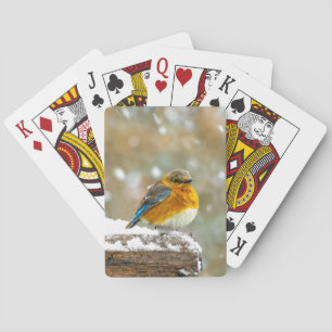Baralho Bluebird oriental na neve - Foto original