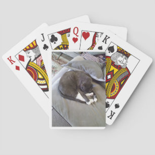 Baralho Boa Noite, Senhor