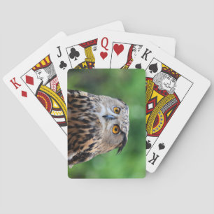 Baralho Bonita concha de coruja de cartas tocando
