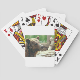 Baralho Bonita Natureza Adorável Urso Rosto Rosto Olhos