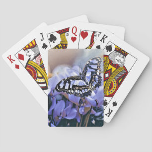 Baralho Borboleta Azul