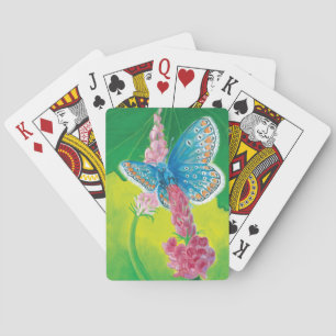 Baralho Borboleta azul-da-Chapmans (Terços de Polyommatus)