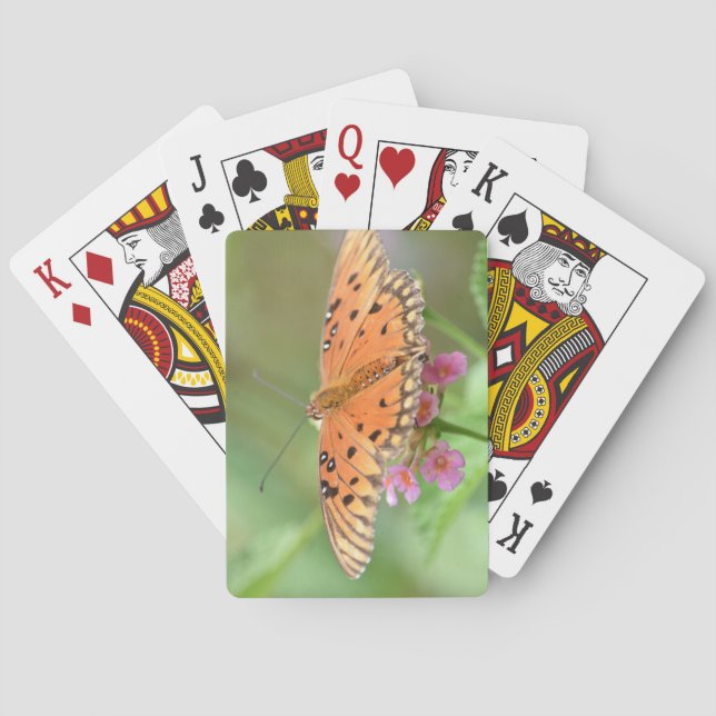 Baralho Borboleta em uma flor encontrada em um parque loca (Verso)