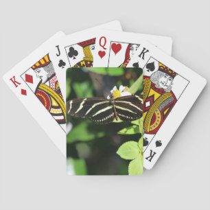 Baralho Borboleta Zebra Longwing