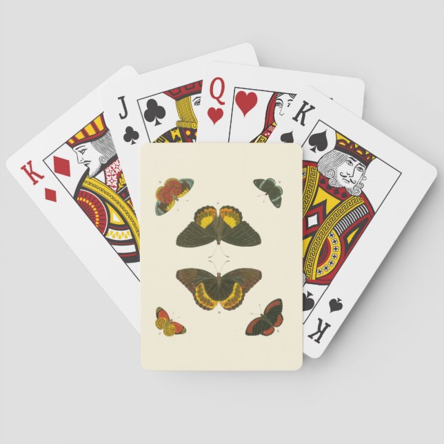 Baralho Borboletas Brilhantes por Pieter Cramer (Verso)