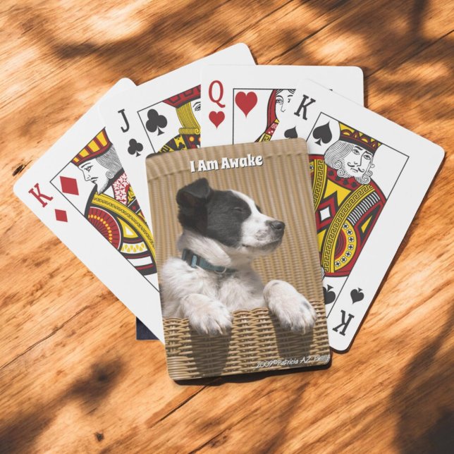 Baralho Borda Adorável Collie Heeler Sleepy (Sleeping puppy playing cards)
