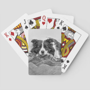 Baralho Border Collie Art