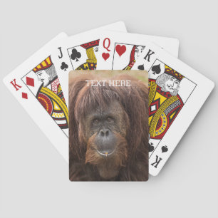 Baralho Borneo Orangutan - Bela Fotografia
