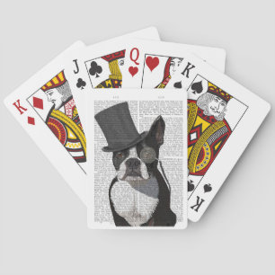 Baralho Boston Terrier, Formal Hound e Chapéu