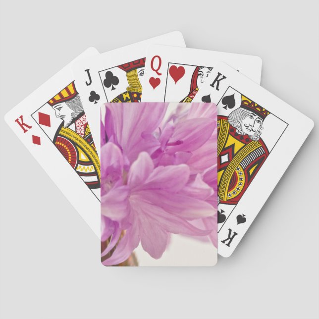 Baralho Botão Batchelor (Verso)