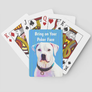 Baralho Brincadeira Touro Mix Cachorro Coçando Poker Brinc