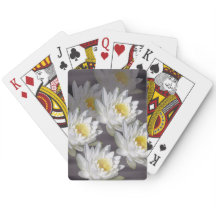 Brincando Cartões Brancos de Água Selvagem Imagem 