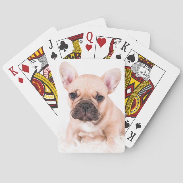 Baralho Buldogue francês (Verso)