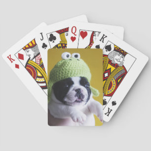 Baralho Buldogue Francês