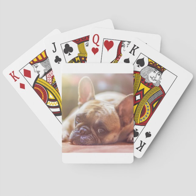 Baralho buldogue francês deitado (Verso)