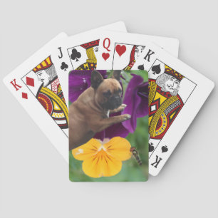 Baralho Bulldog francês jogo de cartas