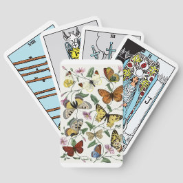 Baralho Butterfly & Moth por Paul Gervais