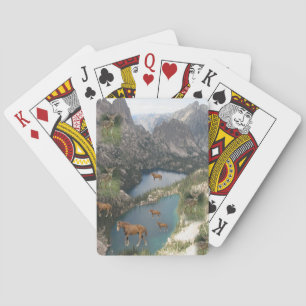 Baralho Cabine de Reprodução de Cavalo