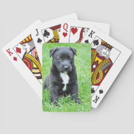 Baralho Cachorrinho Totalmente Adorável