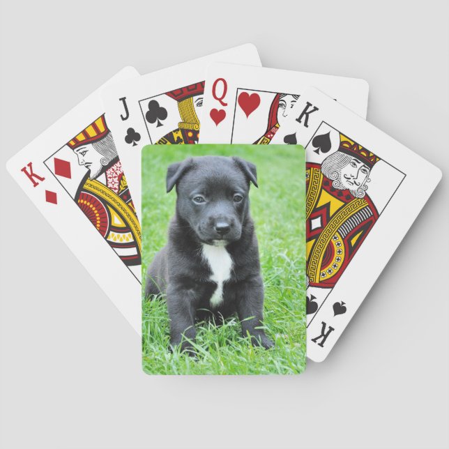 Baralho Cachorrinho Totalmente Adorável (Verso)